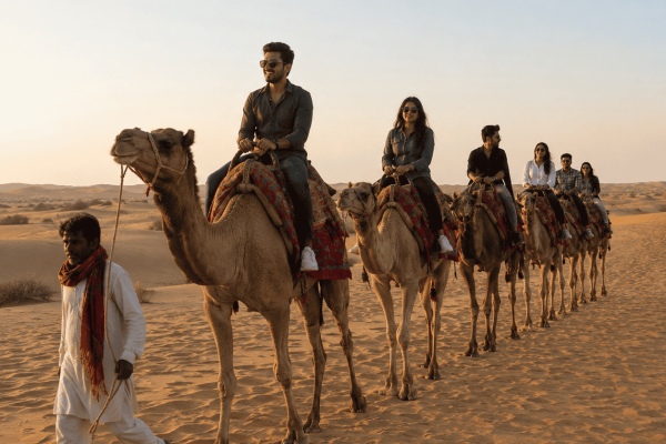 camel safari Camel Safari