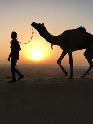 camel safari